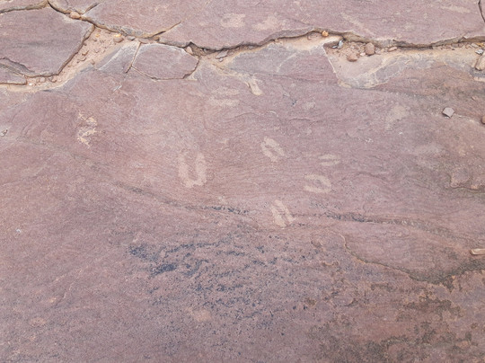 Kalahari Bush Breaks主图