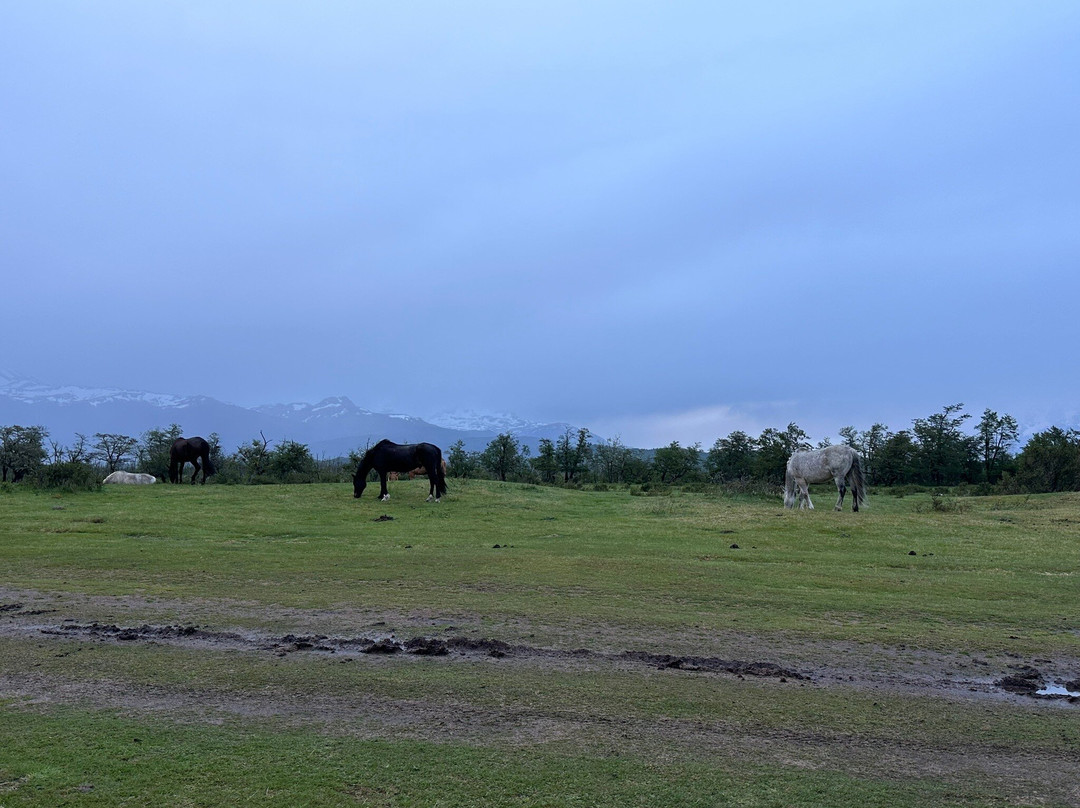 Lodge Morrena Torres del Paine主图