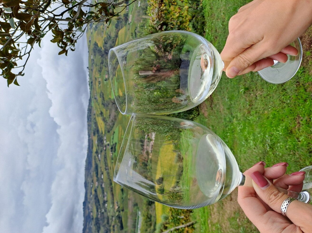 Tojo Winery景点图片