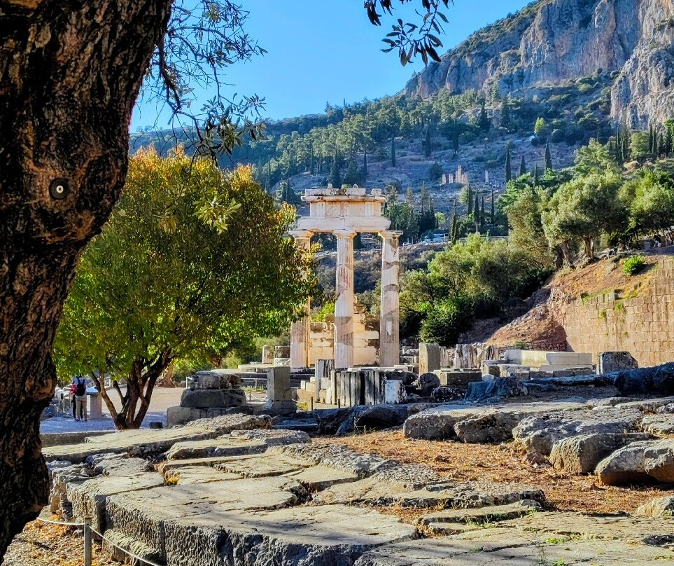 Tholos of Athena Pronaia景点图片