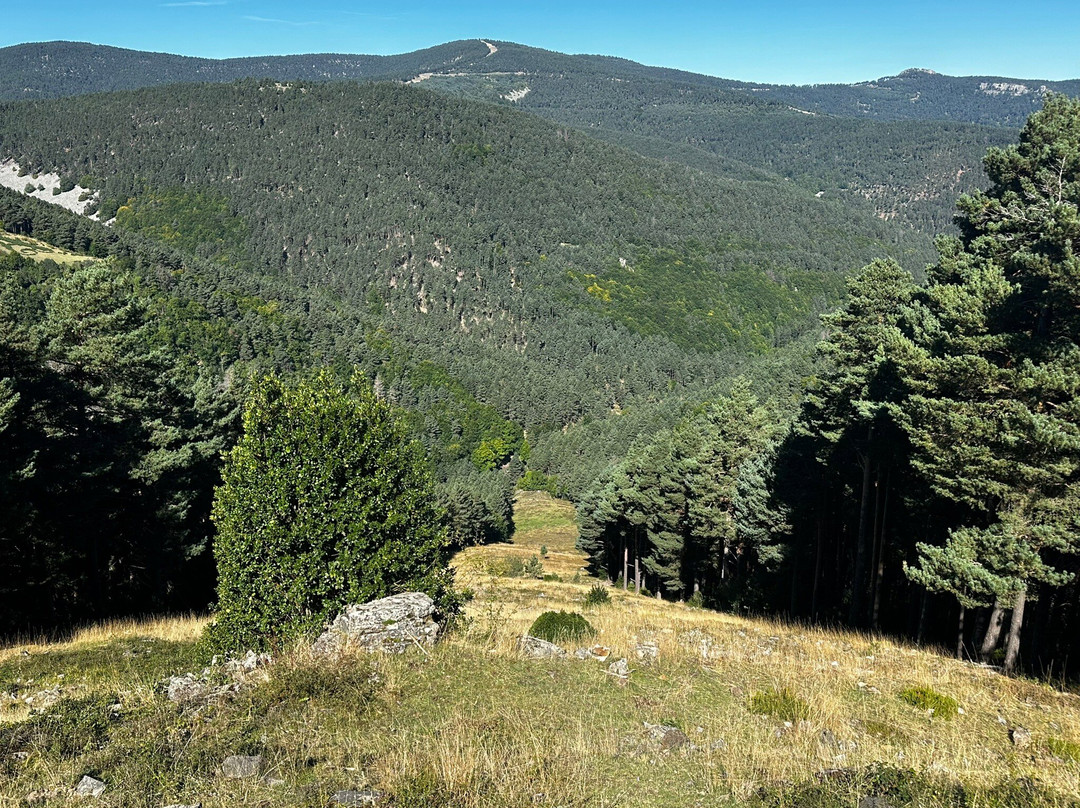Parque Natural Sierra Cebollera景点图片