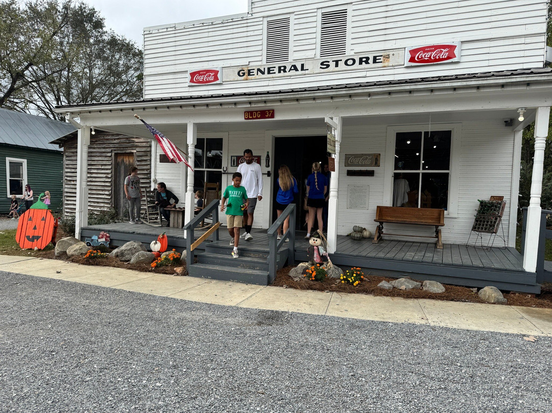 Mississippi Agricultural & Forestry Museum景点图片