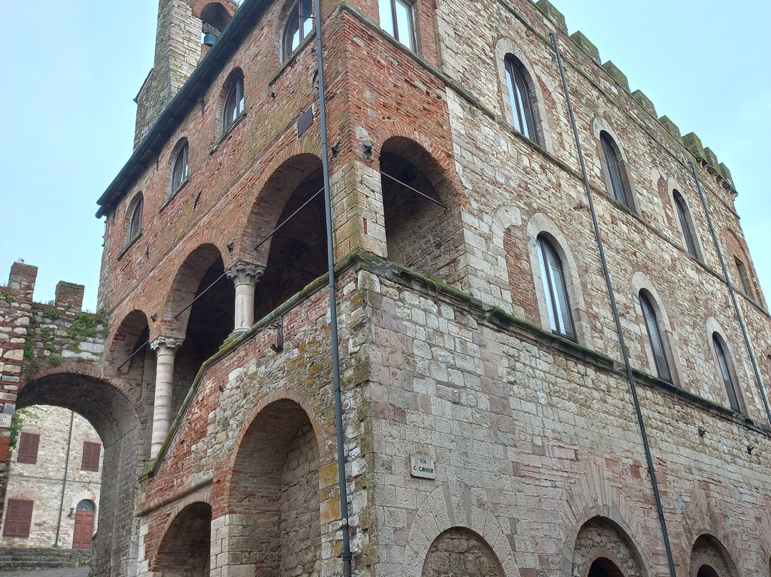 Palazzo Comunale景点图片