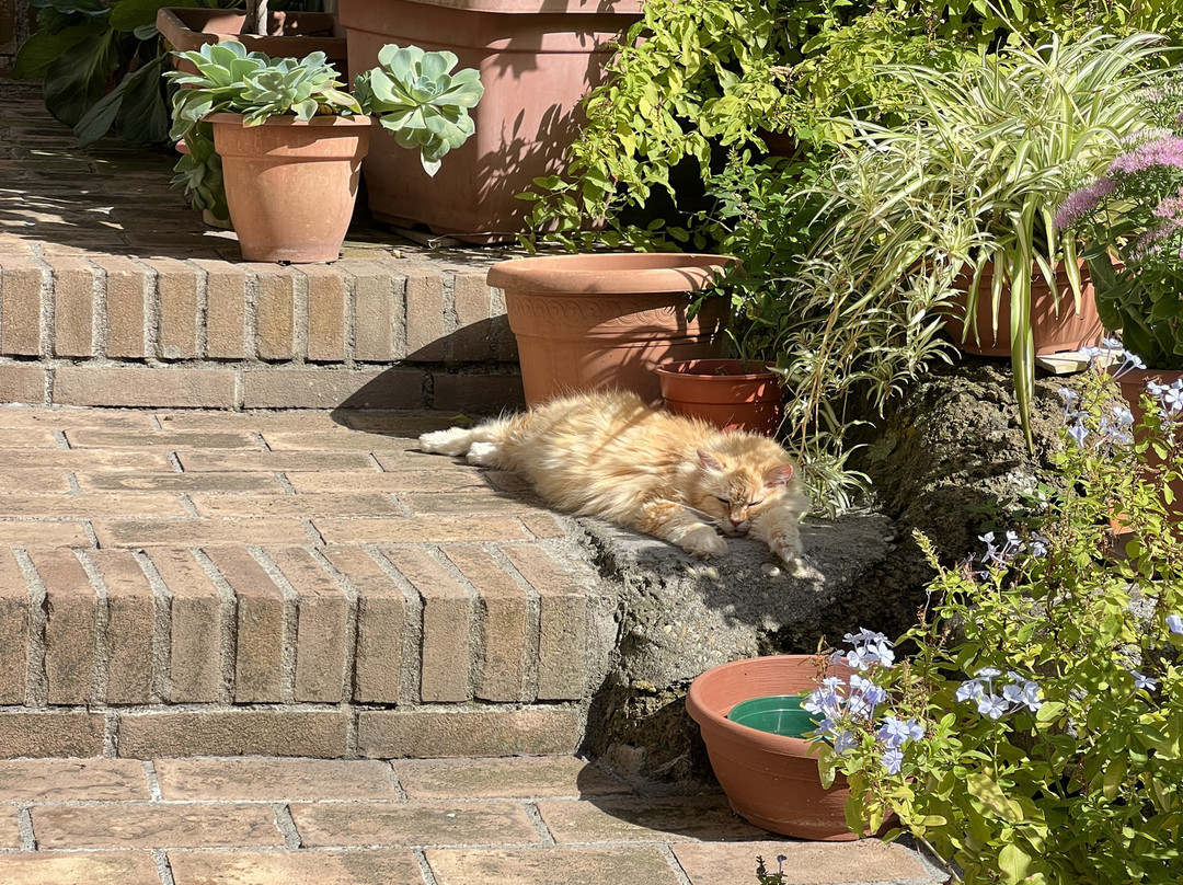 Scoot Around Rome-罗马必去景点