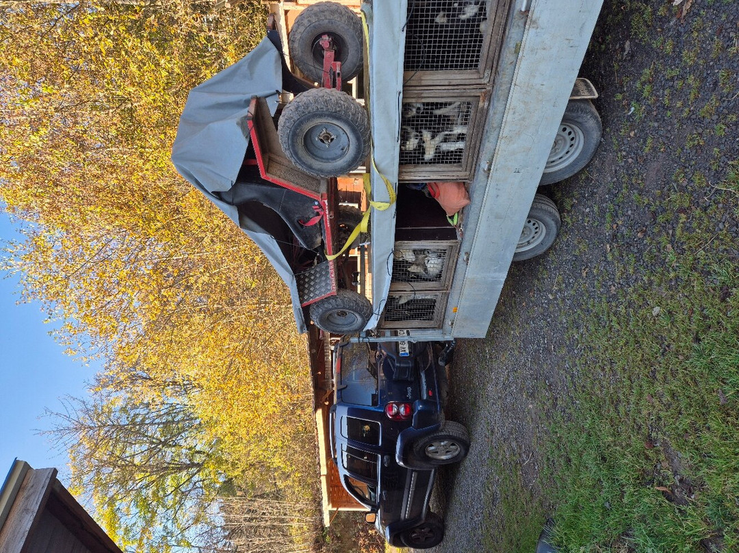 La Petite Finlande主图