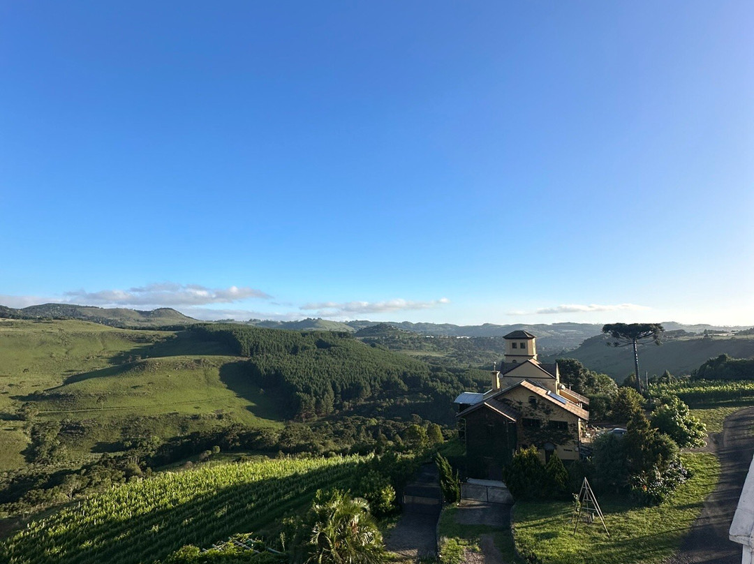 Leone di Venezia Winery-Sao Joaquim必去景点