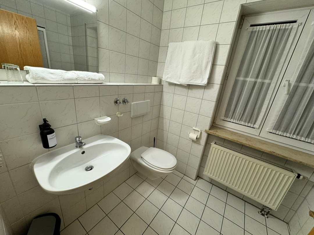 Gasthof Metzgerei Neumeyer主图