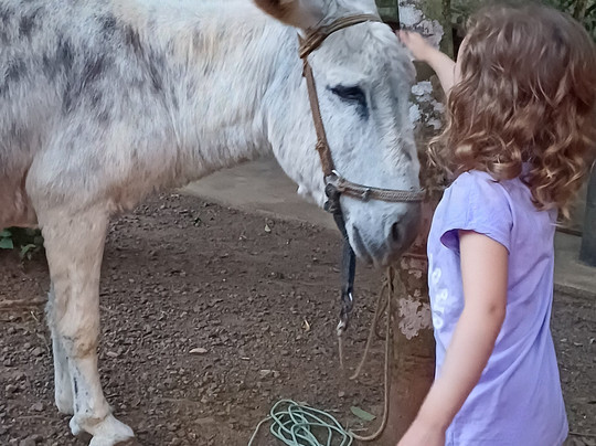 Cascata dos Deberofski-Sapiranga必去景点