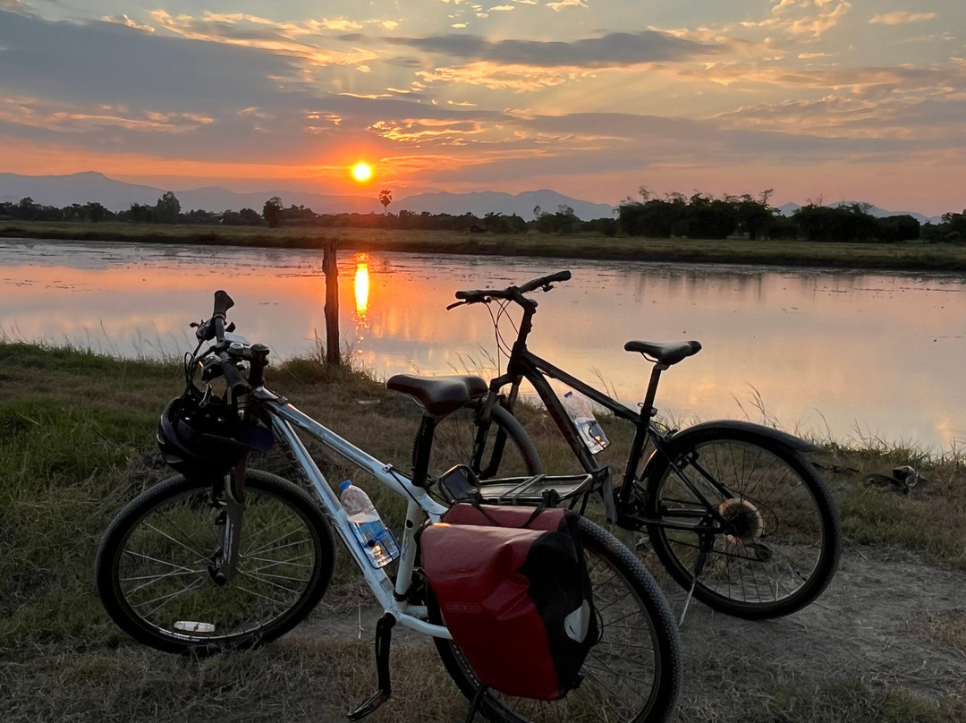 Sukhothai Bicycle Tour景点图片