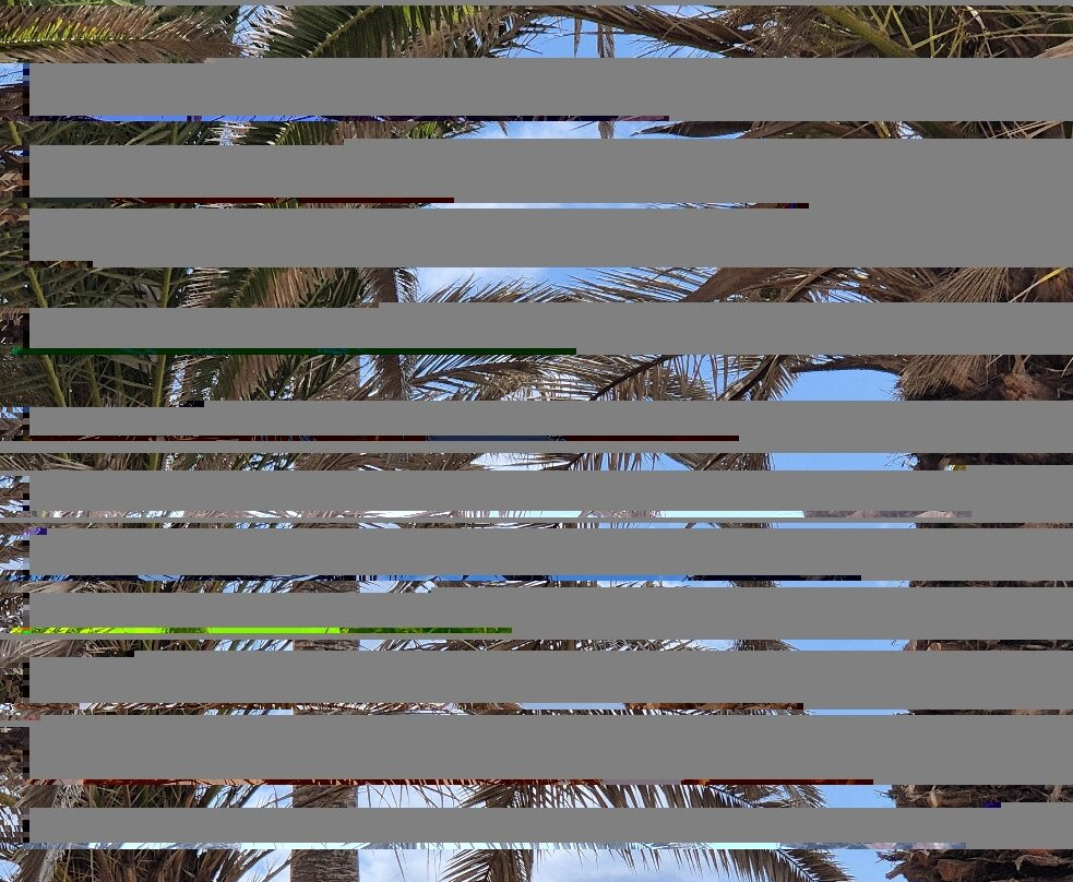 Playa De Los Tarajales-洛斯克里斯蒂亚诺斯必去景点