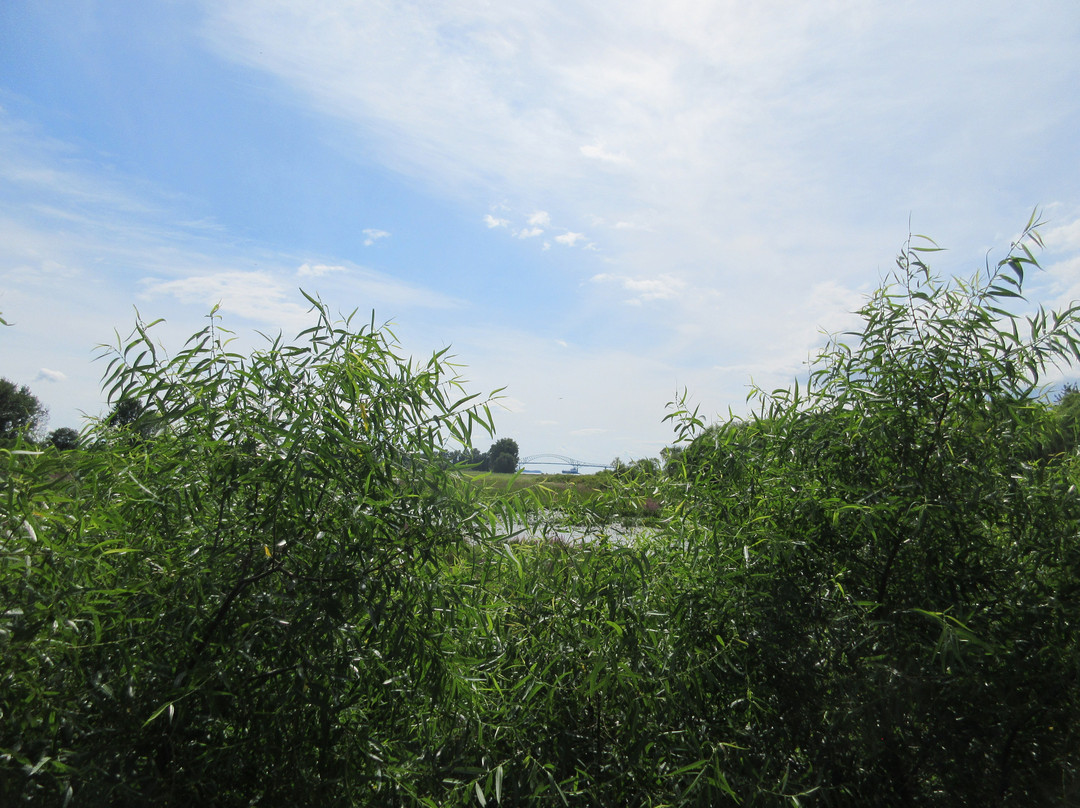 Quai De Sainte-angèle-贝坎库尔必去景点