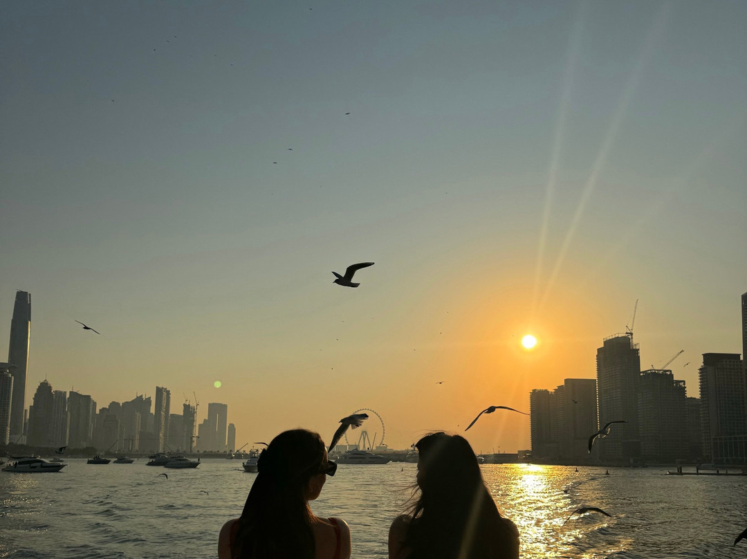 Ombra Yachts-圣安东尼德波特曼尼必去景点