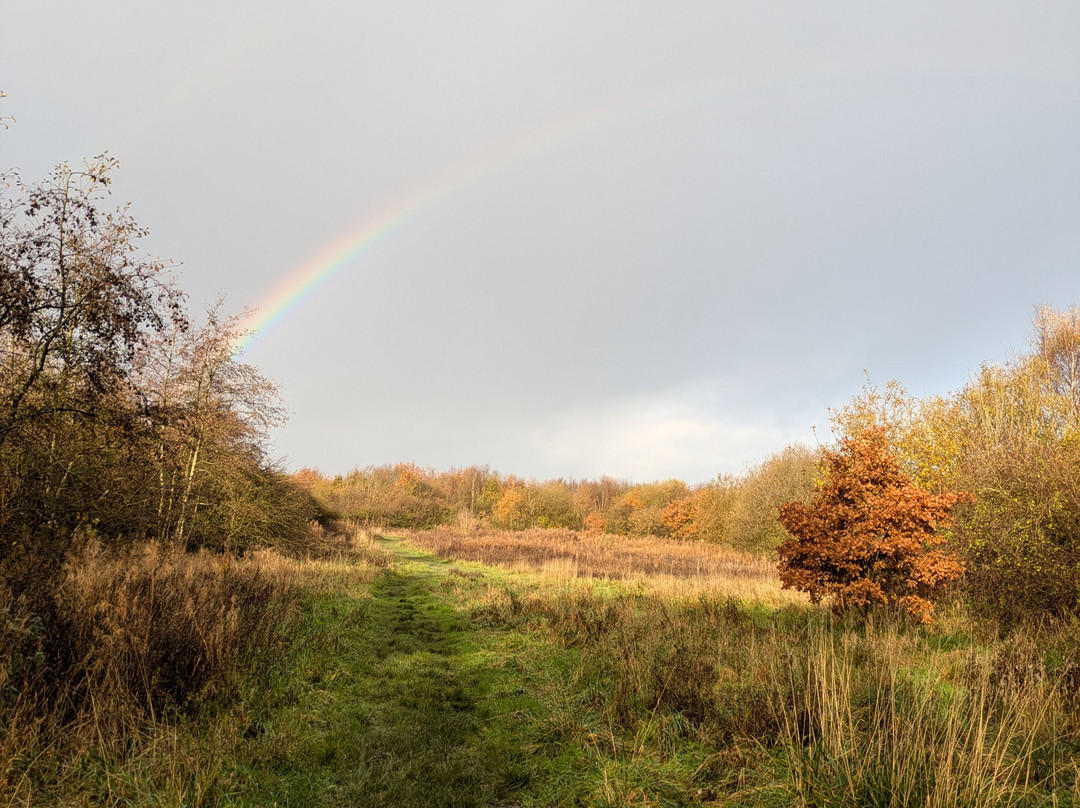 Lyme and Wood Pits Country Park景点图片