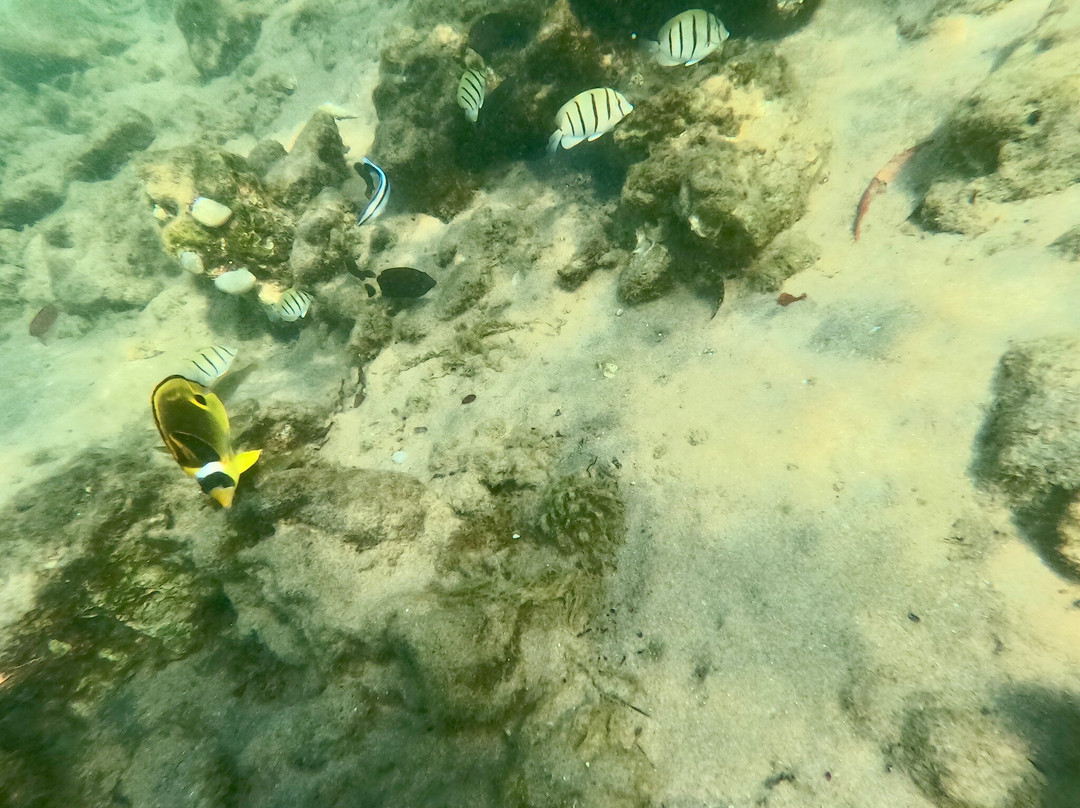 Kosi Bay Nature Reserve-Kosi Bay必去景点