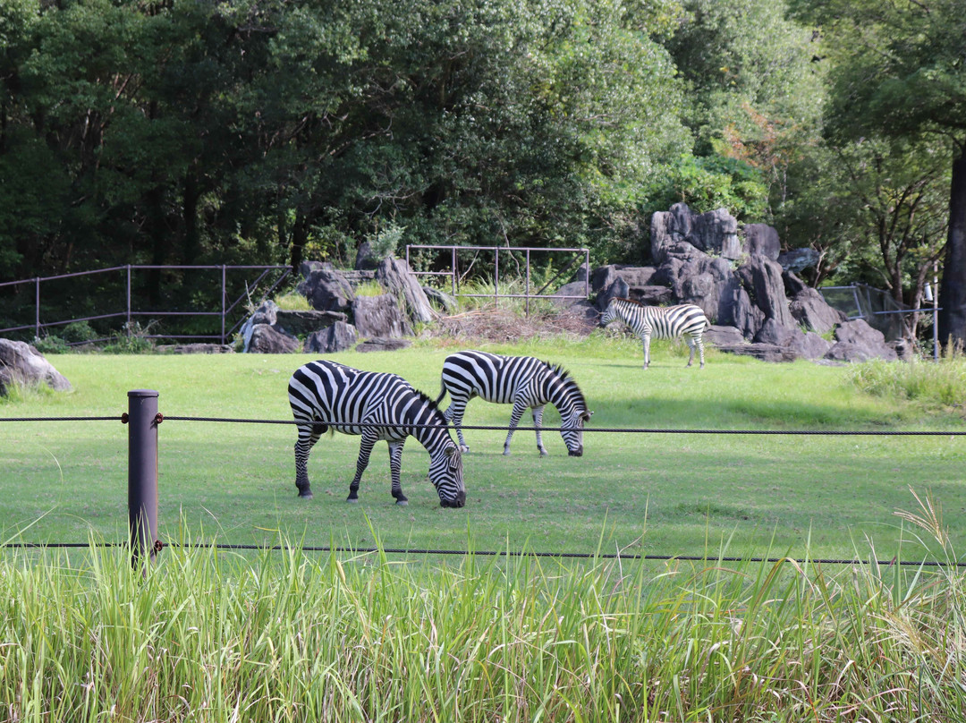 Noichi Zoological Park of Kochi Prefecture-香南市必去景点