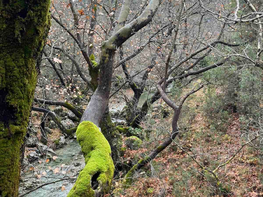 Vitina Trekking-Vytina必去景点