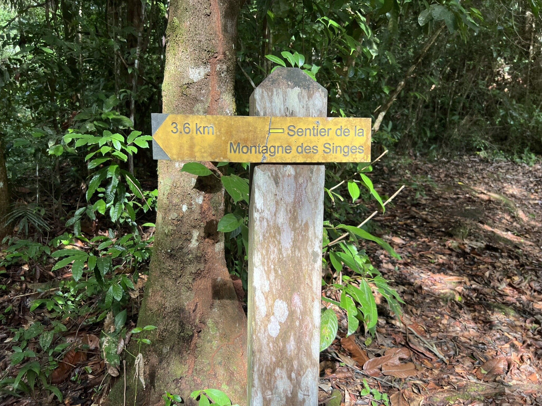La Montagne des Singes-Kourou必去景点