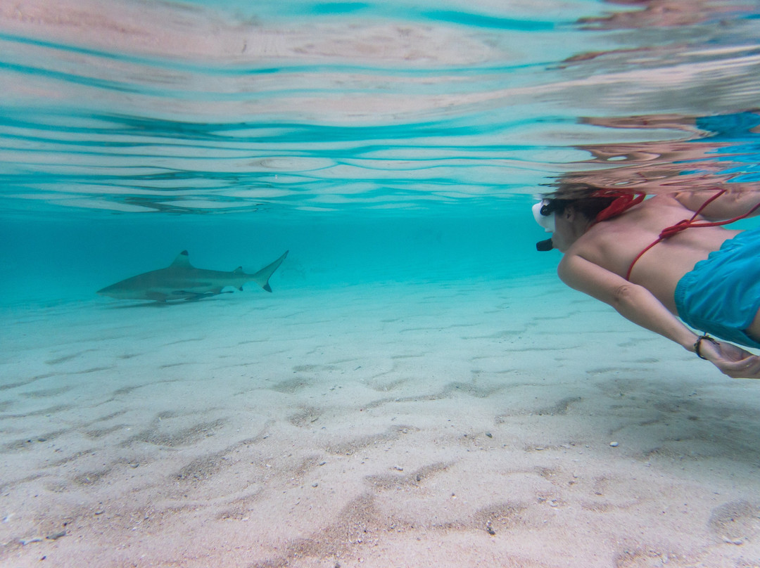 Nomad Archipelago-Serangan必去景点