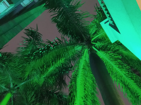 Higienopolis标准住宅