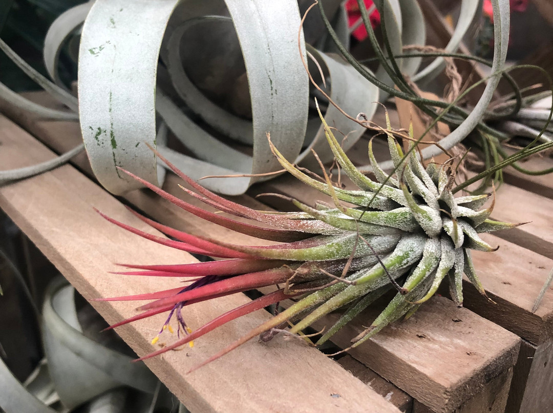 Ebert's Greenhouse Village-Ixonia必去景点