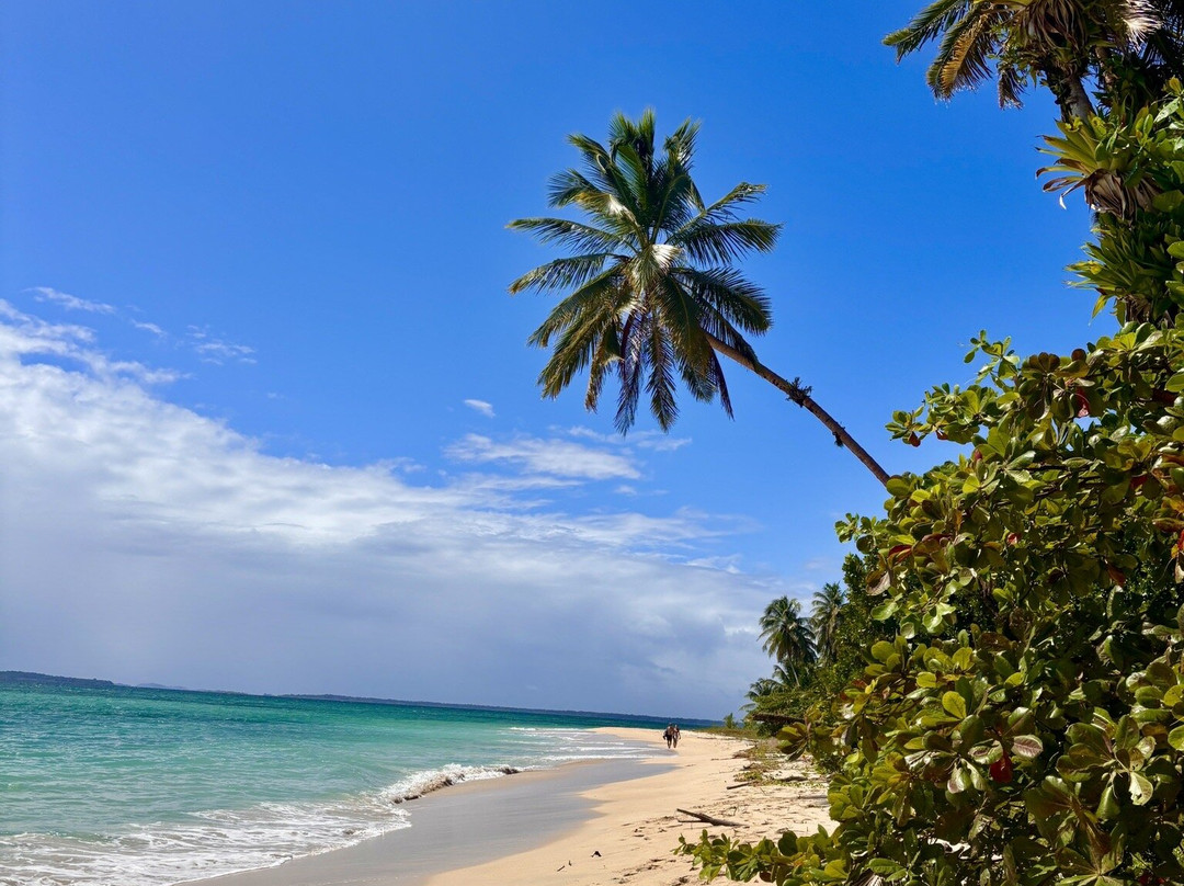 Isla Zapatillas-博卡斯德尔托罗必去景点