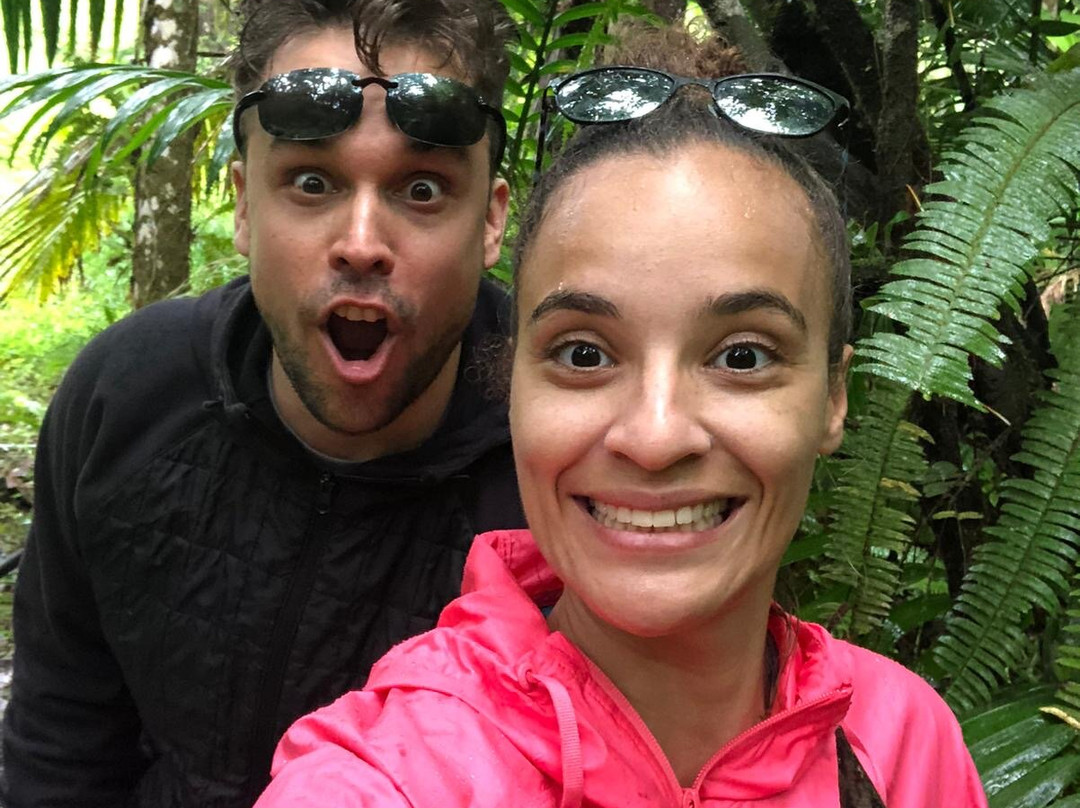 Tobago Main Ridge Forest Reserve-多巴哥必去景点