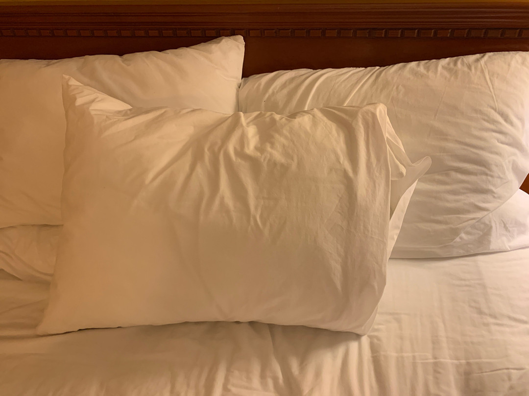 Hampton Inn & Suites by Hilton Langley-Surrey主图