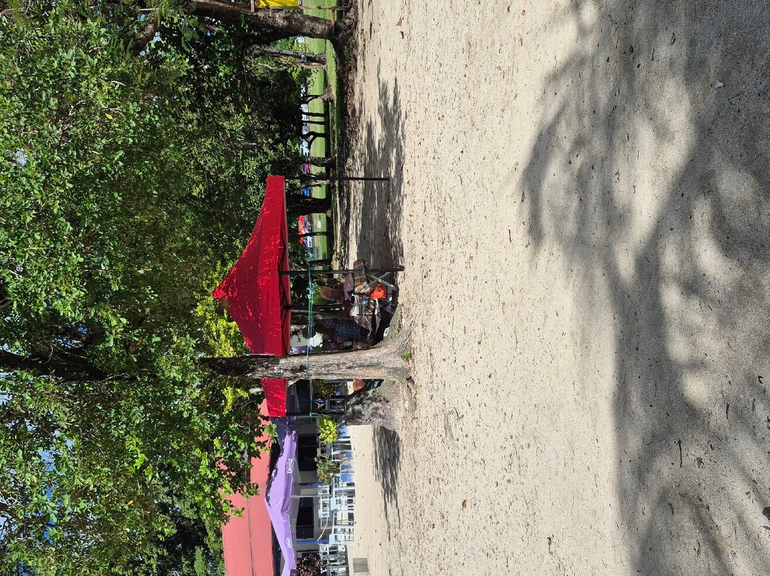 Anse Figuier-Riviere-Pilote必去景点