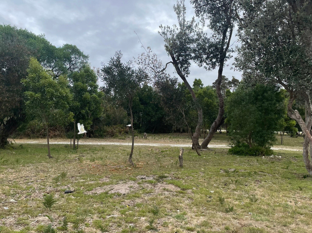 Veronica Maybury Recreation Reserve-Golden Beach必去景点