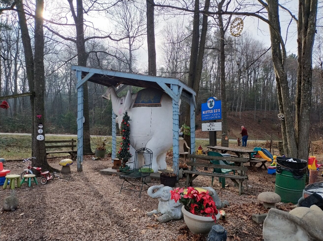 Mister Ed's Elephant Museum景点图片