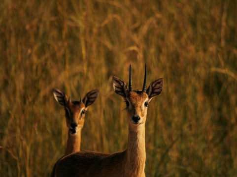 Afrivine Tours and Travels-Eldoret必去景点