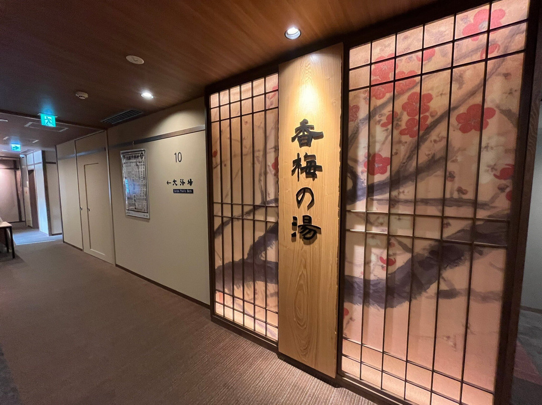 Dormy Inn Mito Hot Springs主图