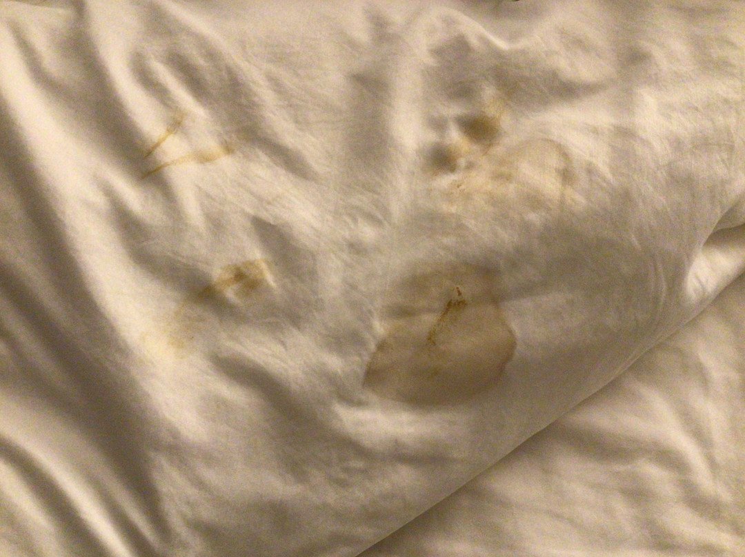 Stonecroft Inn主图