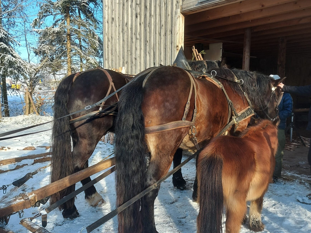Rosszeit-Deilingen必去景点