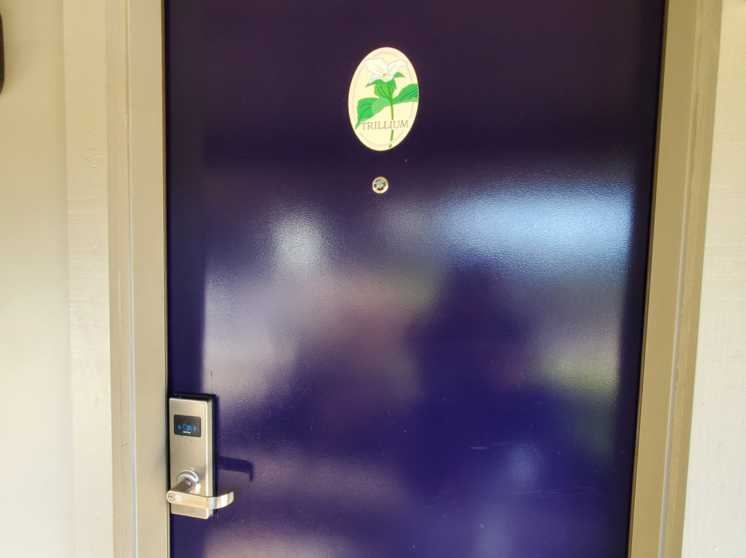 Wildflower Boutique Motel主图