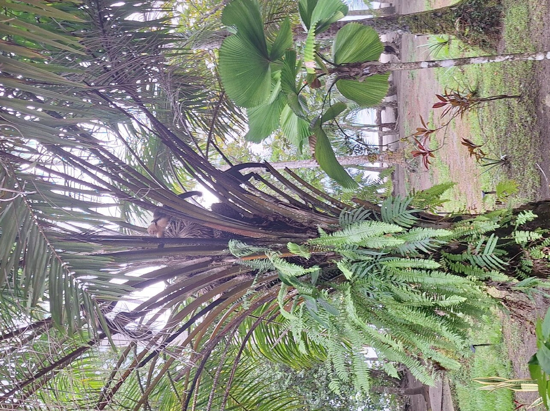 Dreamy Contentment主图