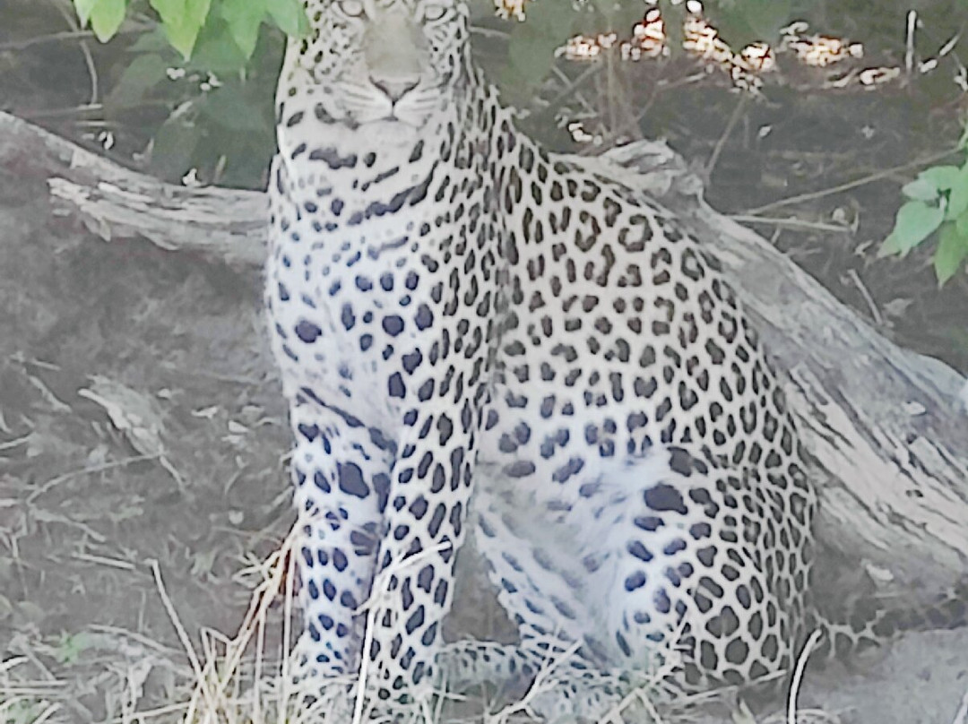 Leon Safaris-卡萨尼必去景点