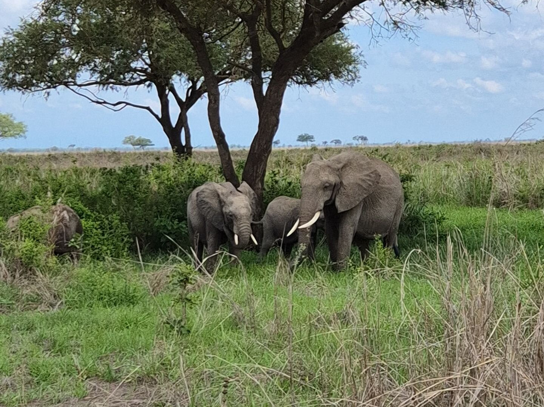 Ameir Tours and Travel-桑给巴尔市必去景点