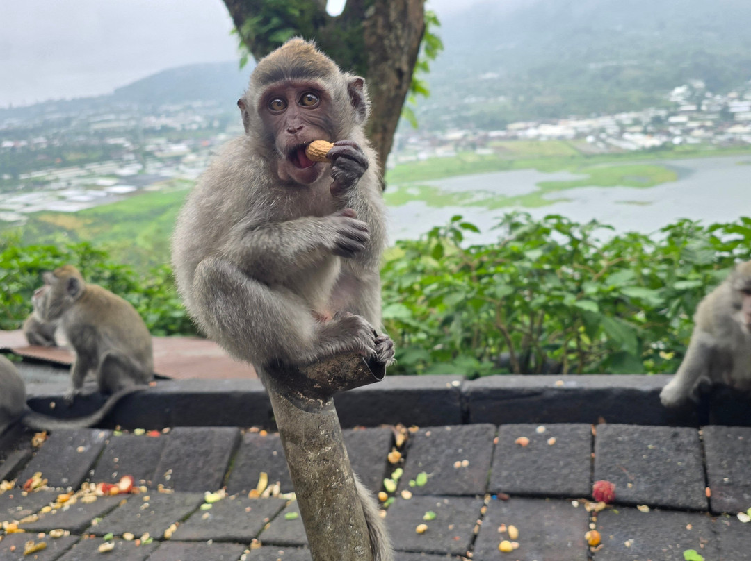 Merteyasa Bali Adventure景点图片