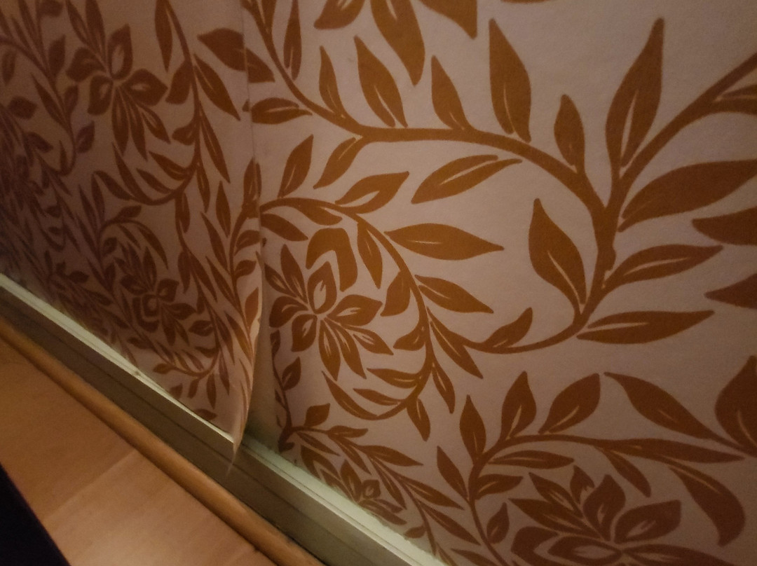 圖洛特飯店主图