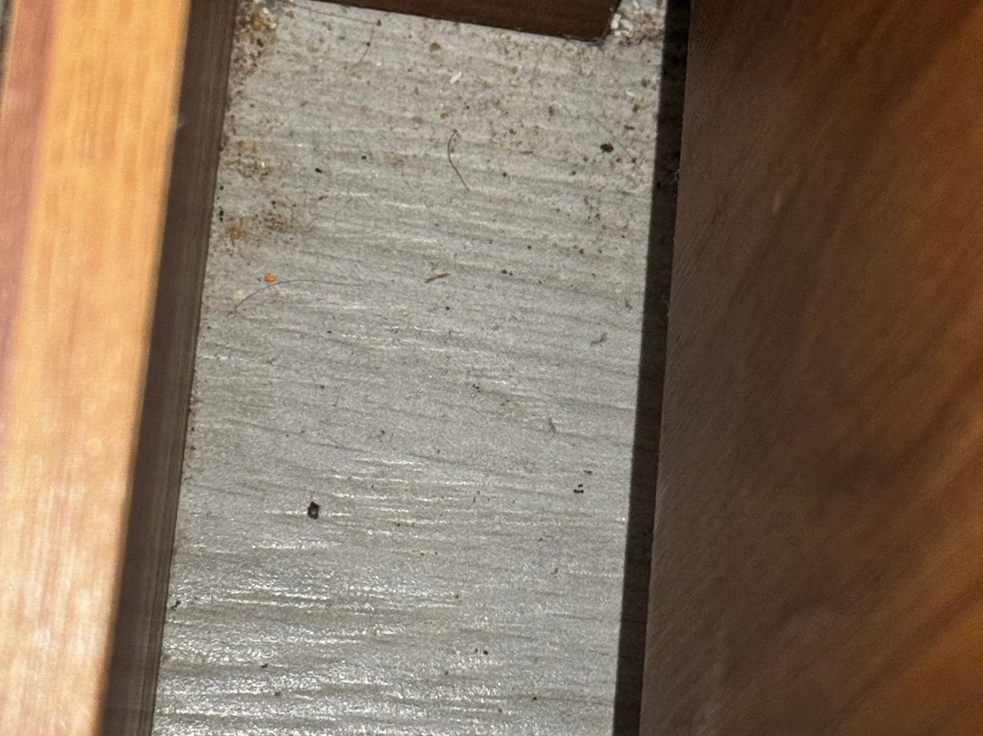 Jade Hotel Tulum主图