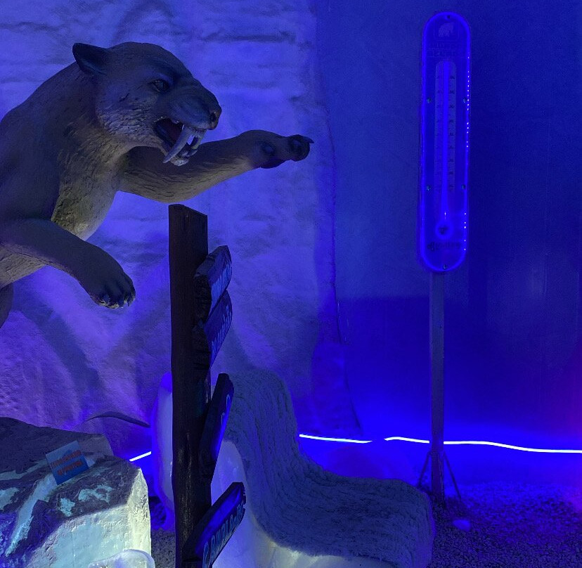 Parque Tematico Mundo Gelado-卡内拉必去景点