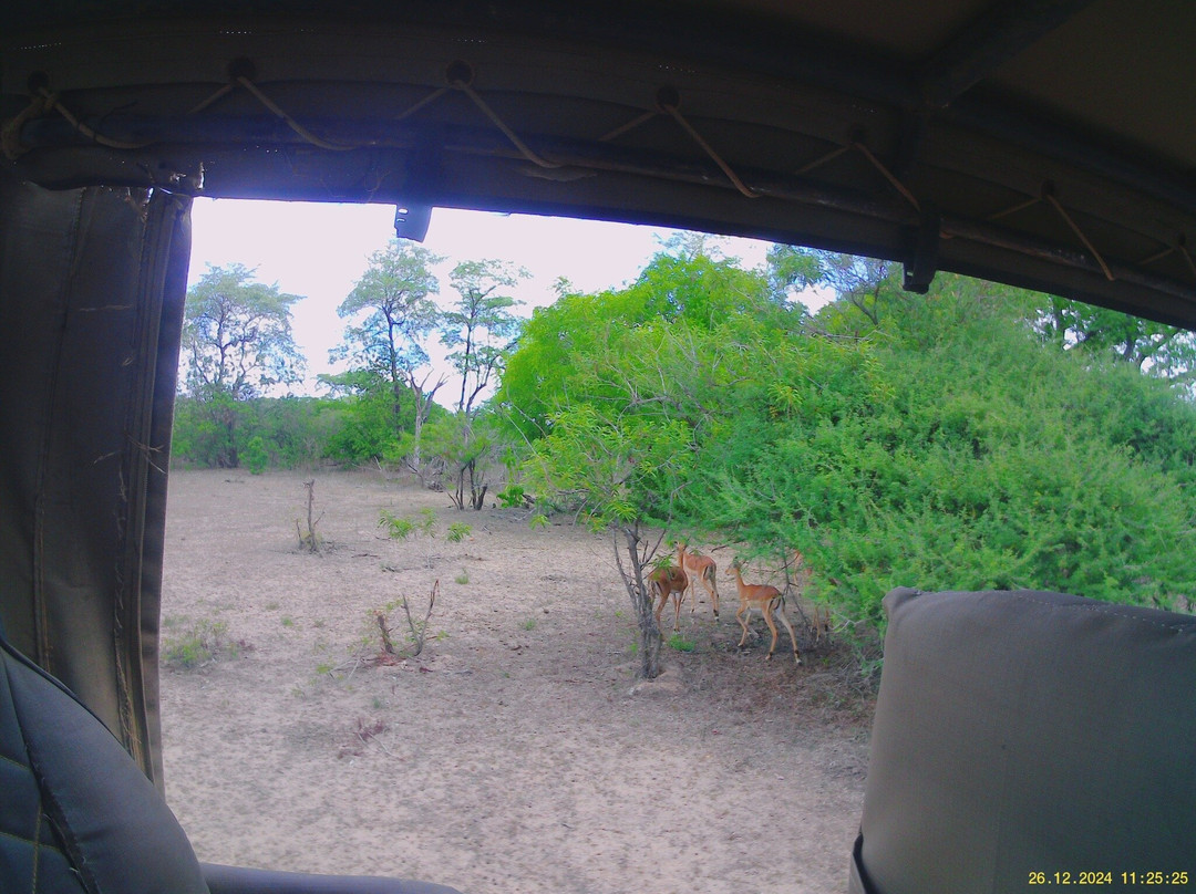 Selous Game Reserve-塞卢斯禁猎区必去景点