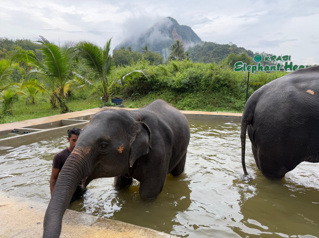 Krabi Elephant​ Heaven​-奥南必去景点
