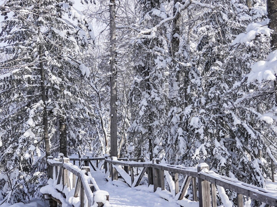 Hello China Trip Harbin-哈尔滨市必去景点