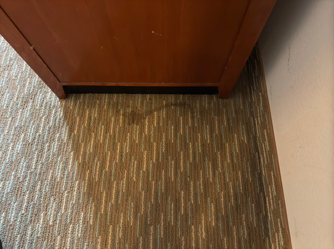 夏洛特派恩维尔希尔顿花园旅馆主图