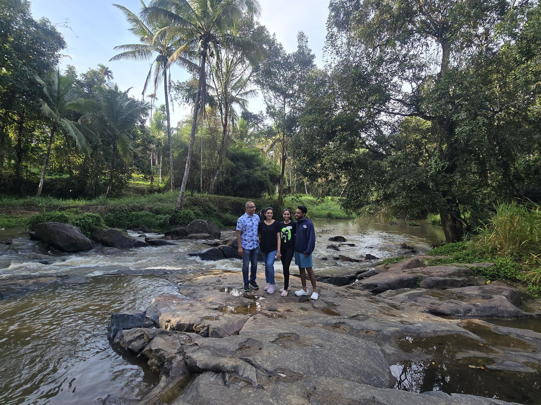 The Suvistara Wayanad主图