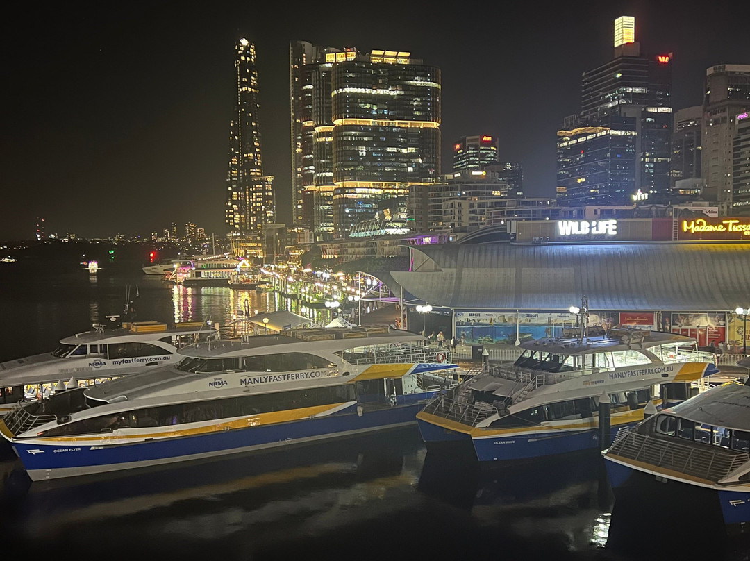 Pyrmont Bridge-悉尼必去景点