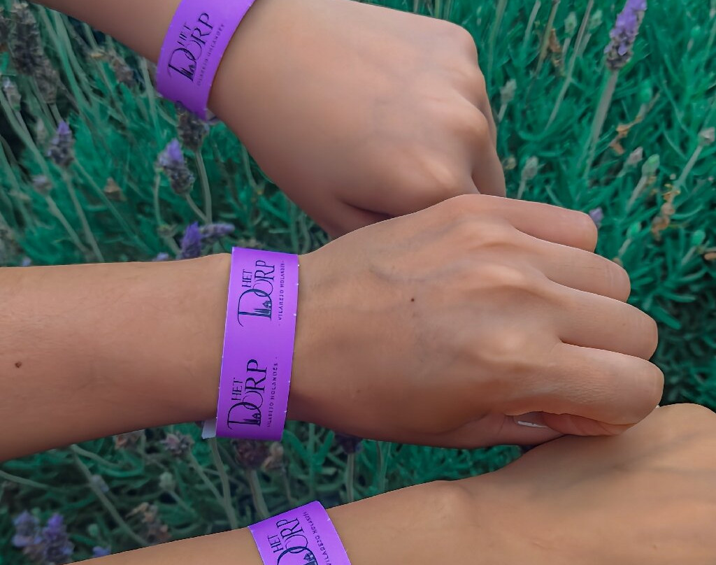 Het Dorp Vilarejo Holandês-Carambei必去景点