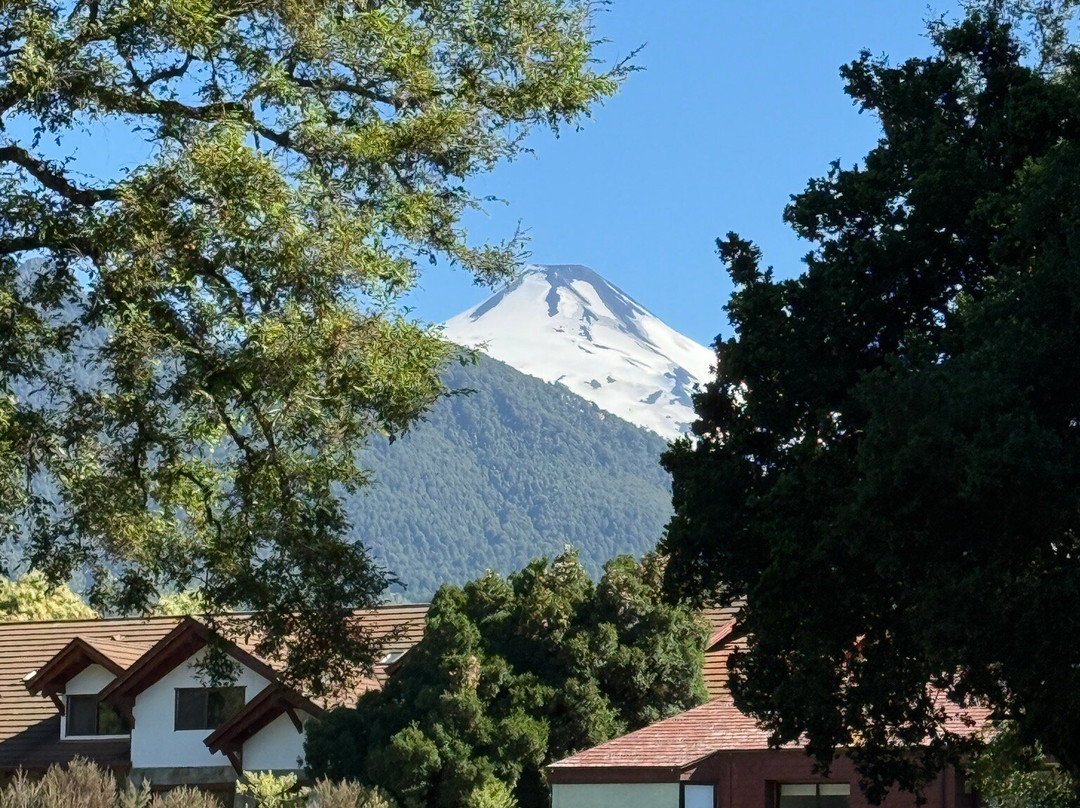 Hotel Pucon Green Park主图